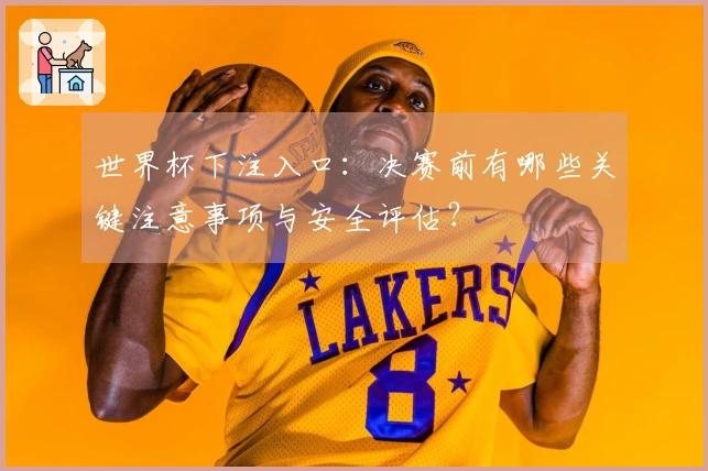 世界杯下注入口：决赛前有哪些关键注意事项与安全评估？