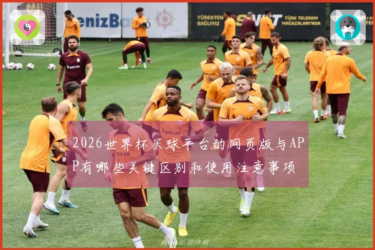 2026世界杯买球平台的网页版与APP有哪些关键区别和使用注意事项