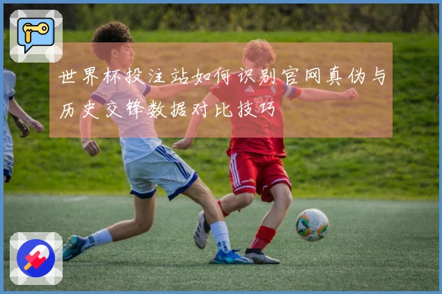 世界杯投注站如何识别官网真伪与历史交锋数据对比技巧