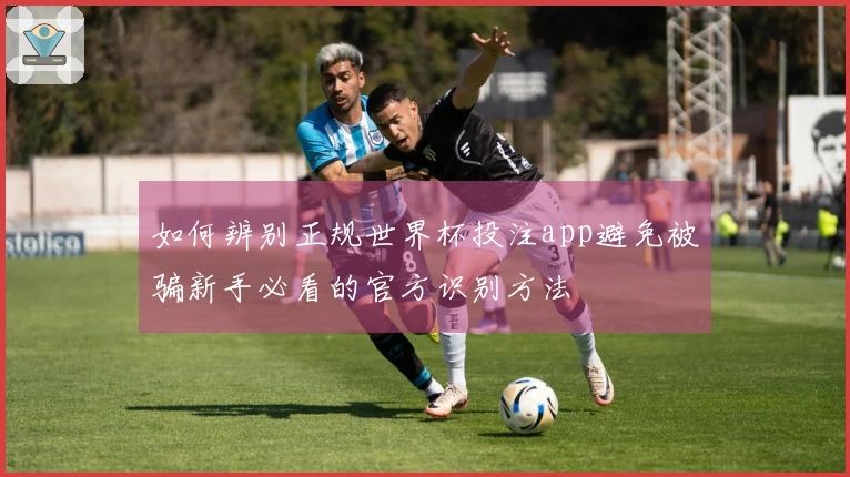 如何辨别正规世界杯投注app避免被骗新手必看的官方识别方法