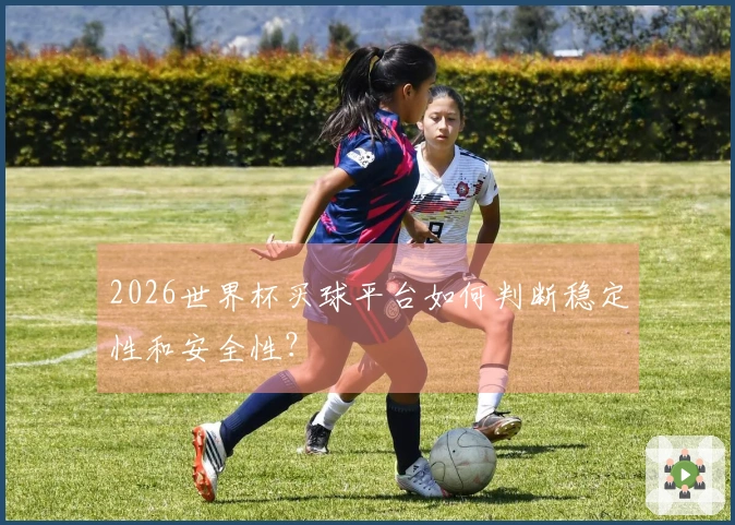 2026世界杯买球平台如何判断稳定性和安全性？