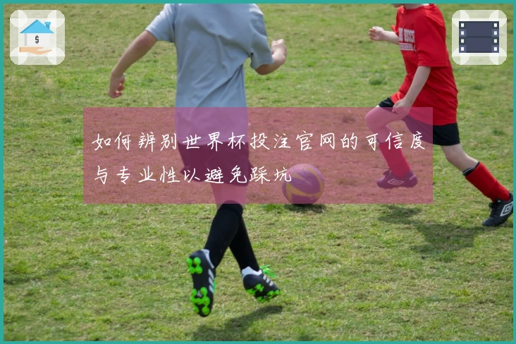如何辨别世界杯投注官网的可信度与专业性以避免踩坑