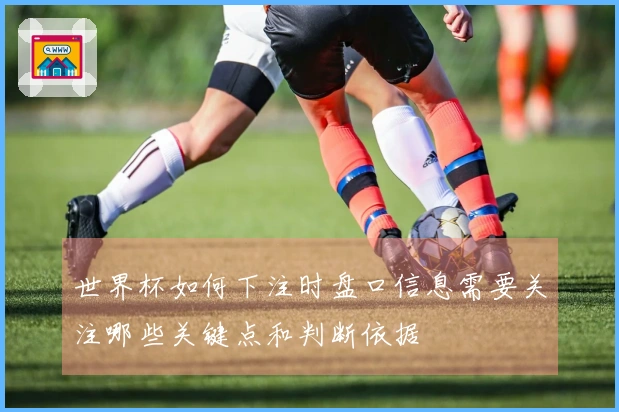 世界杯如何下注时盘口信息需要关注哪些关键点和判断依据