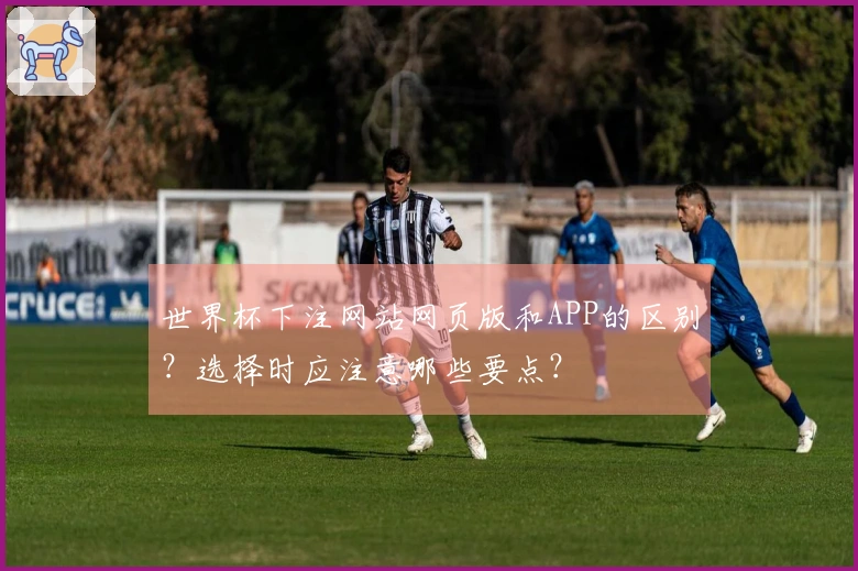 世界杯下注网站网页版和APP的区别？选择时应注意哪些要点？