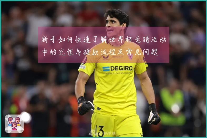 新手如何快速了解世界杯竞猜活动中的充值与提款流程及常见问题