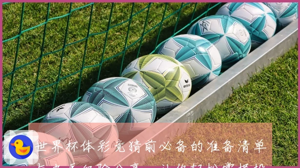 世界杯体彩竞猜前必备的准备清单与老手经验分享，让你轻松掌握投注要点