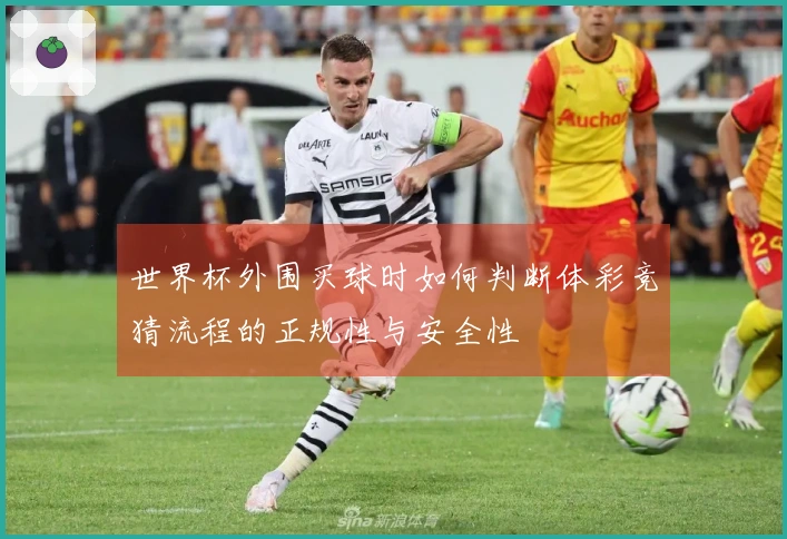 世界杯外围买球时如何判断体彩竞猜流程的正规性与安全性