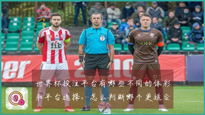 世界杯投注平台有哪些不同的体彩和平台选择,怎么判断哪个更适合?