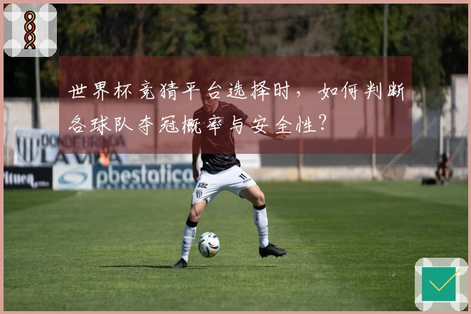 世界杯竞猜平台选择时，如何判断各球队夺冠概率与安全性？