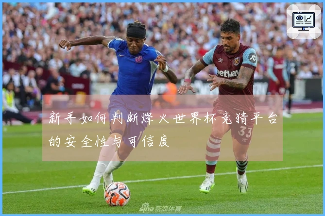 新手如何判断烽火世界杯竞猜平台的安全性与可信度