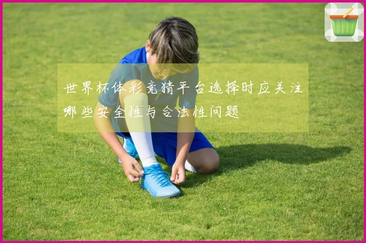 世界杯体彩竞猜平台选择时应关注哪些安全性与合法性问题
