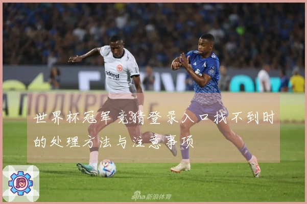 世界杯冠军竞猜登录入口找不到时的处理方法与注意事项