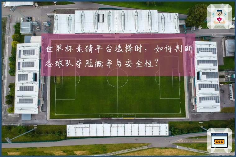 世界杯竞猜平台选择时，如何判断各球队夺冠概率与安全性？