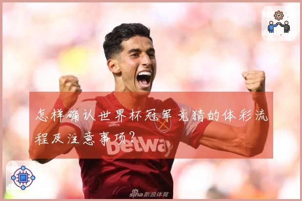 怎样确认世界杯冠军竞猜的体彩流程及注意事项?