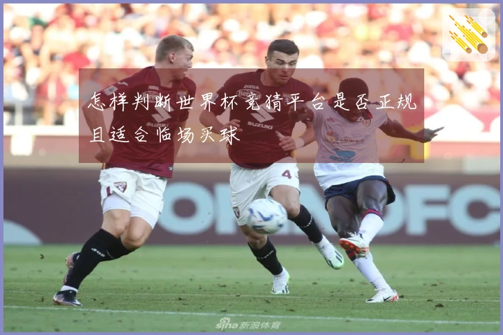 怎样判断世界杯竞猜平台是否正规且适合临场买球