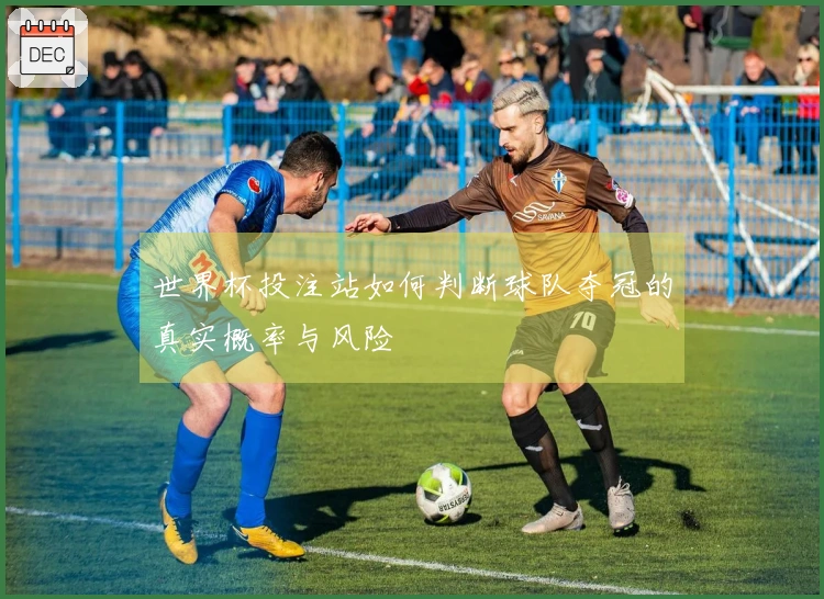 世界杯投注站如何判断球队夺冠的真实概率与风险