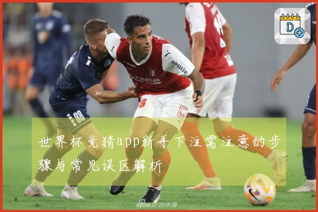 世界杯竞猜app新手下注需注意的步骤与常见误区解析