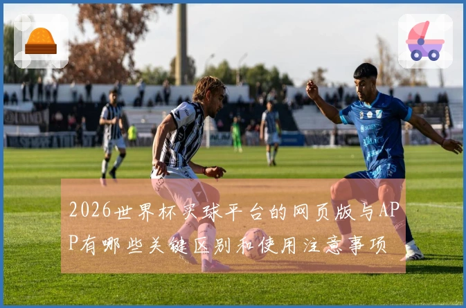 2026世界杯买球平台的网页版与APP有哪些关键区别和使用注意事项