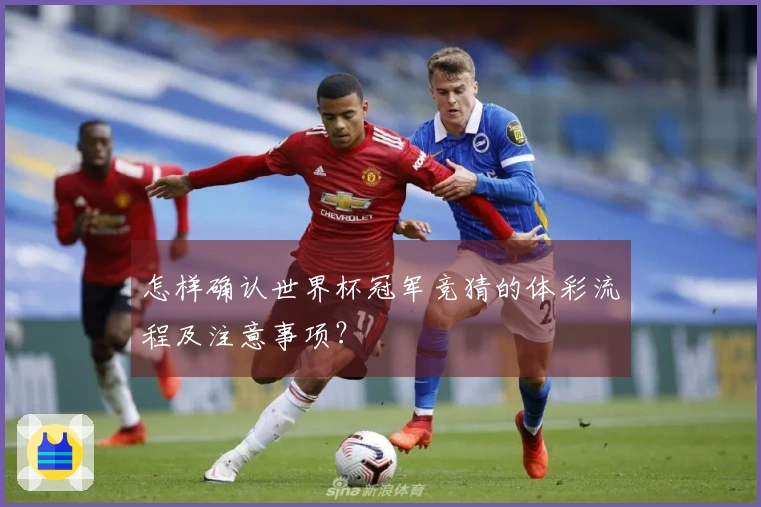 怎样确认世界杯冠军竞猜的体彩流程及注意事项？