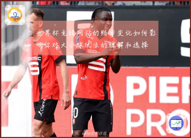 世界杯竞猜网站的赔率变化如何影响你对大小球玩法的理解和选择