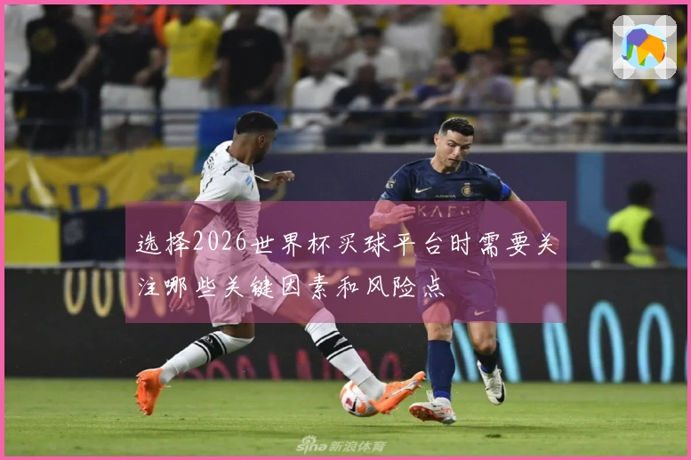 选择2026世界杯买球平台时需要关注哪些关键因素和风险点
