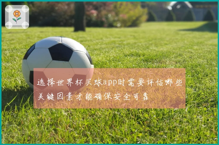 选择世界杯买球app时需要评估哪些关键因素才能确保安全可靠