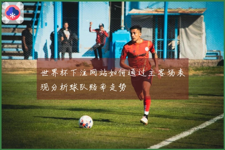 世界杯下注网站如何通过主客场表现分析球队赔率走势