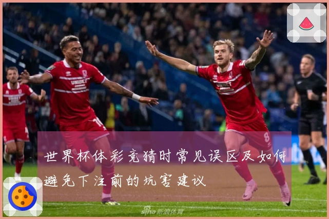 世界杯体彩竞猜时常见误区及如何避免下注前的坑害建议