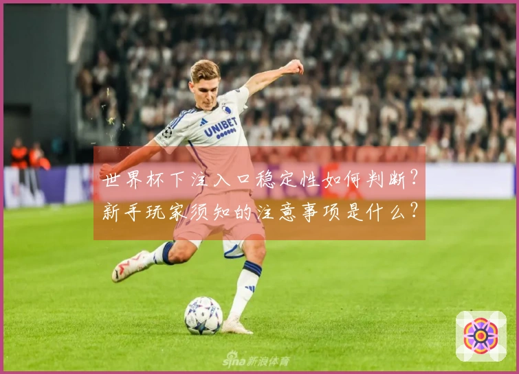 世界杯下注入口稳定性如何判断?新手玩家须知的注意事项是什么?