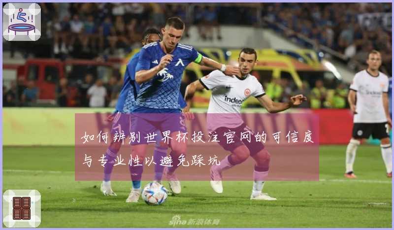 如何辨别世界杯投注官网的可信度与专业性以避免踩坑